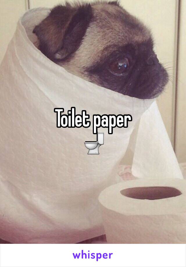 Toilet paper 
🚽