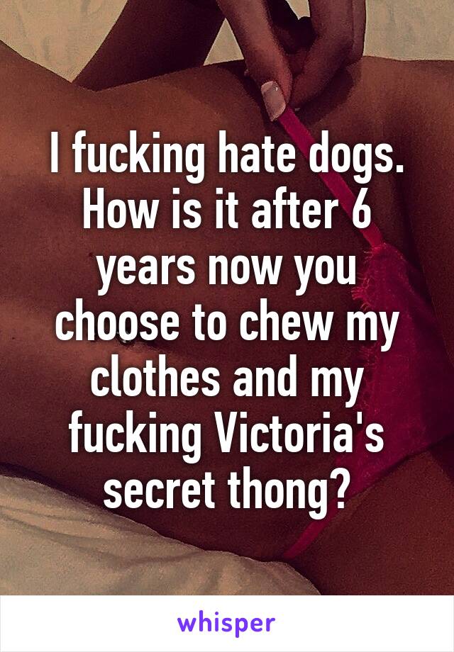 I fucking hate dogs. How is it after 6 years now you choose to chew my clothes and my fucking Victoria's secret thong?