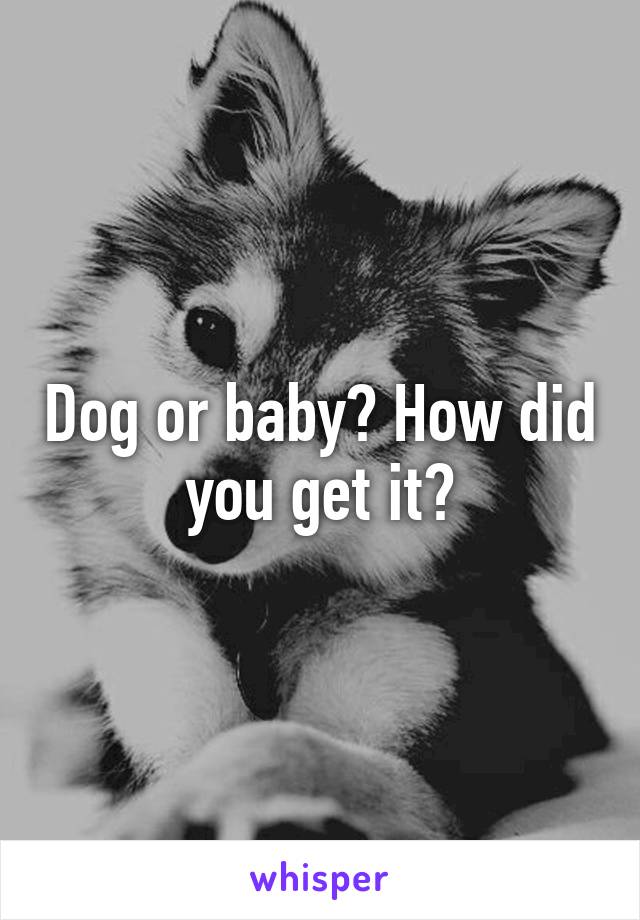 Dog or baby? How did you get it?