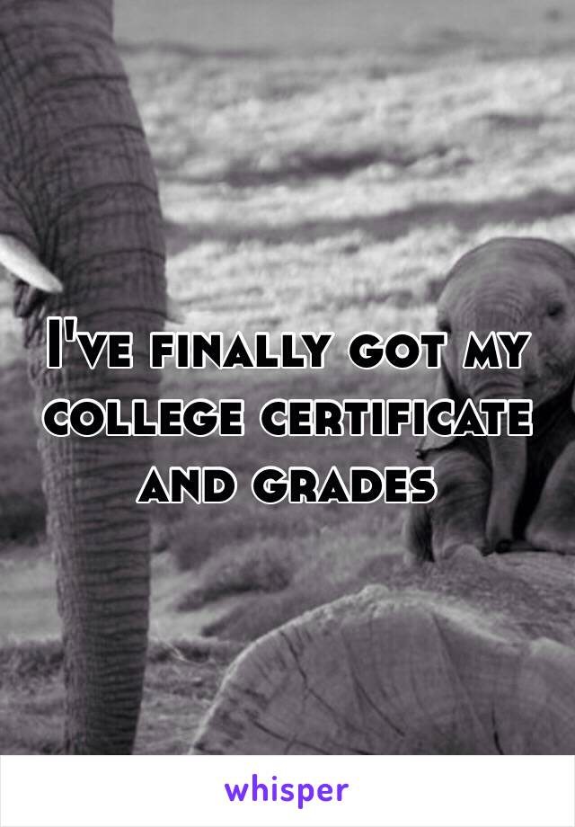 I've finally got my college certificate and grades 