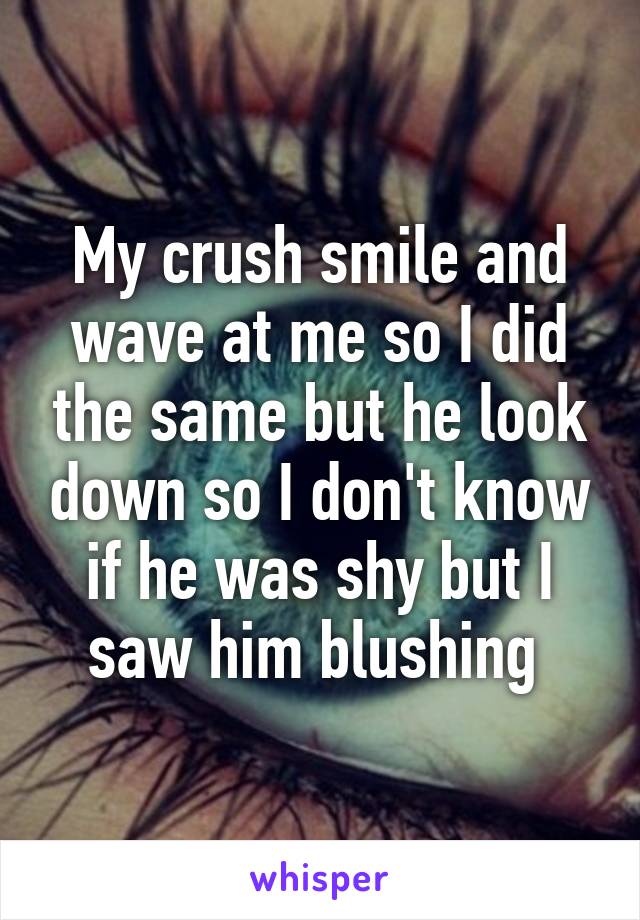 My crush smile and wave at me so I did the same but he look down so I don't know if he was shy but I saw him blushing 