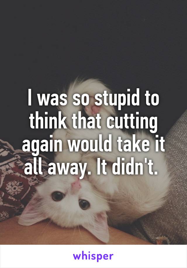 I was so stupid to think that cutting again would take it all away. It didn't. 