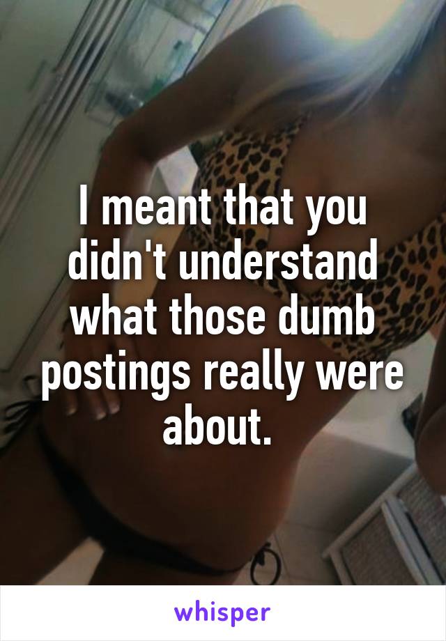 I meant that you didn't understand what those dumb postings really were about. 