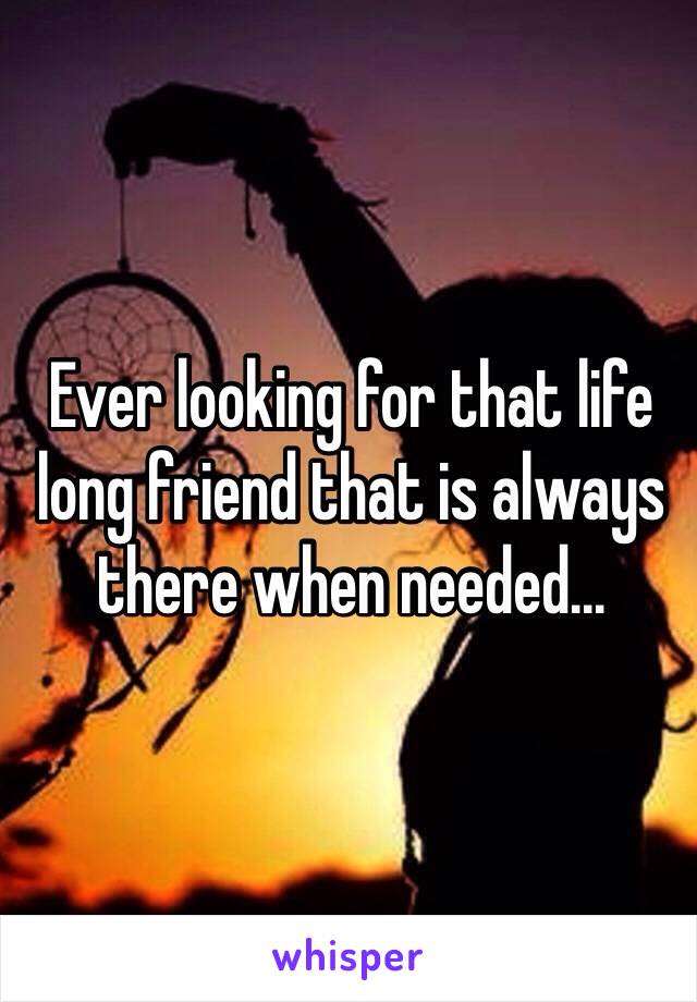 Ever looking for that life long friend that is always there when needed...