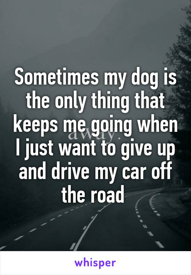 Sometimes my dog is the only thing that keeps me going when I just want to give up and drive my car off the road 