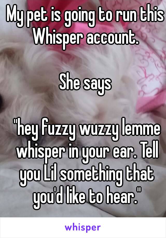 My pet is going to run this Whisper account. 

She says

 "hey fuzzy wuzzy lemme whisper in your ear. Tell you Lil something that you'd like to hear."