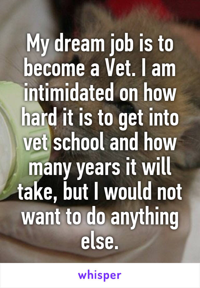 My dream job is to become a Vet. I am intimidated on how hard it is to get into vet school and how many years it will take, but I would not want to do anything else.