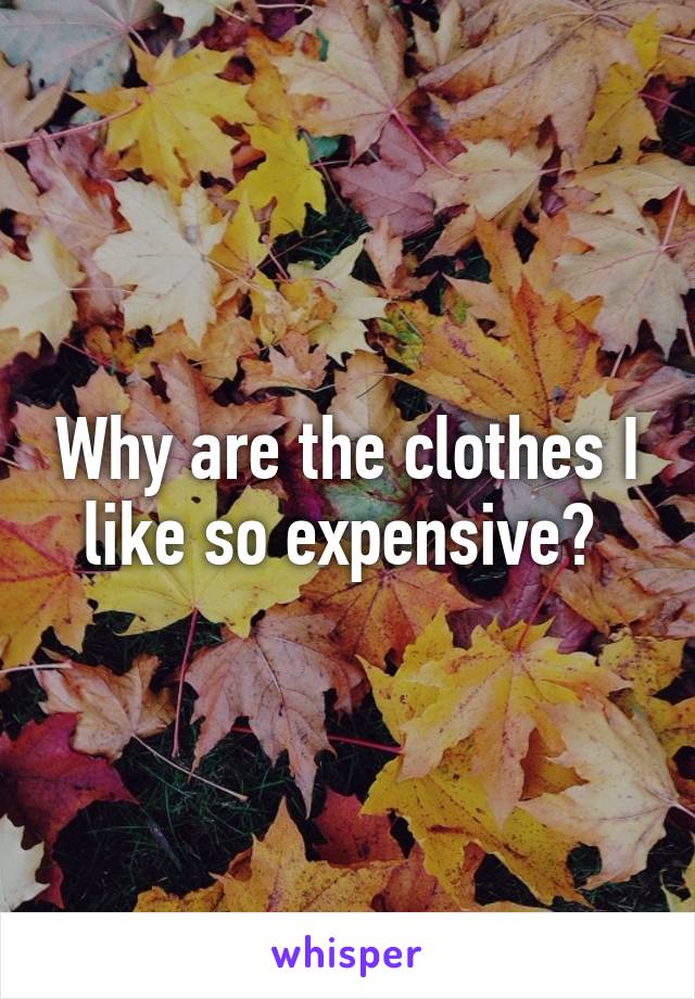 Why are the clothes I like so expensive? 