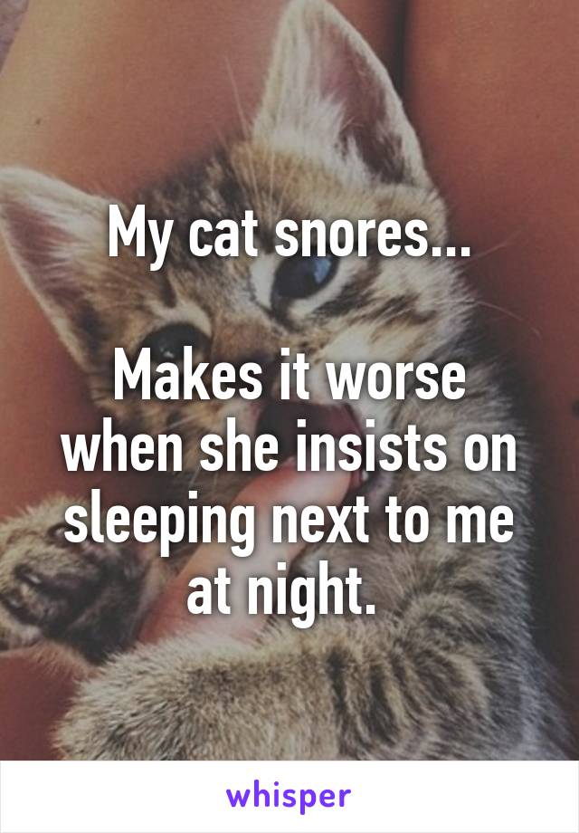 My cat snores...

Makes it worse when she insists on sleeping next to me at night. 