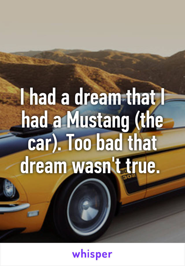 I had a dream that I had a Mustang (the car). Too bad that dream wasn't true. 