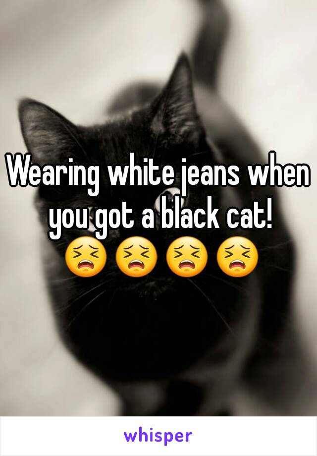 Wearing white jeans when you got a black cat! 😣😣😣😣