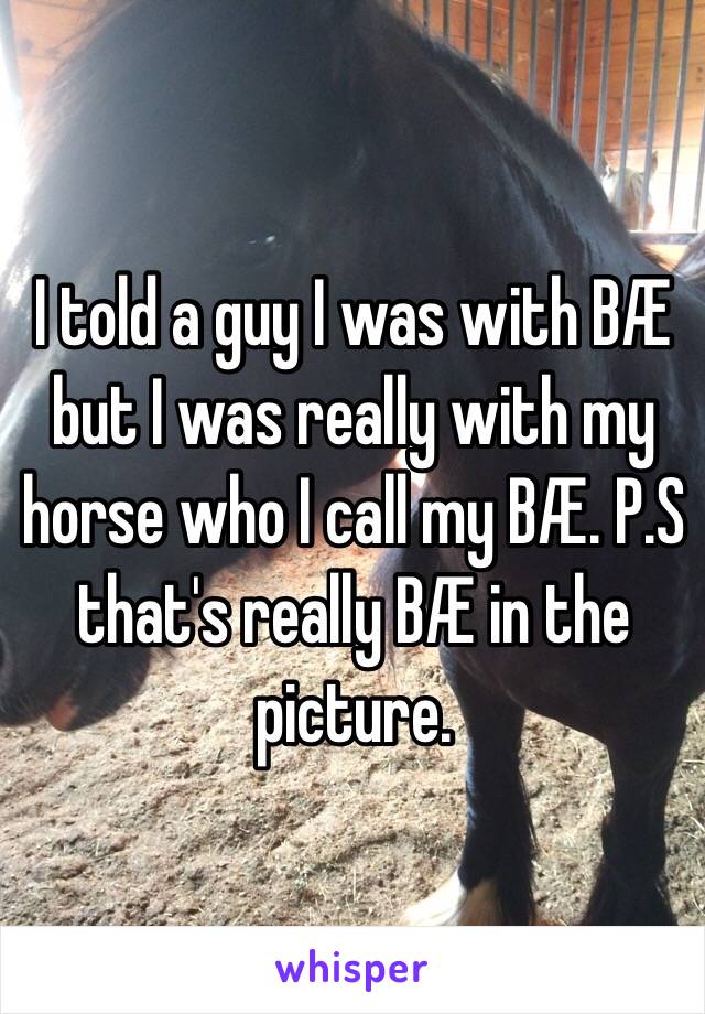 I told a guy I was with BÆ but I was really with my horse who I call my BÆ. P.S that's really BÆ in the picture. 