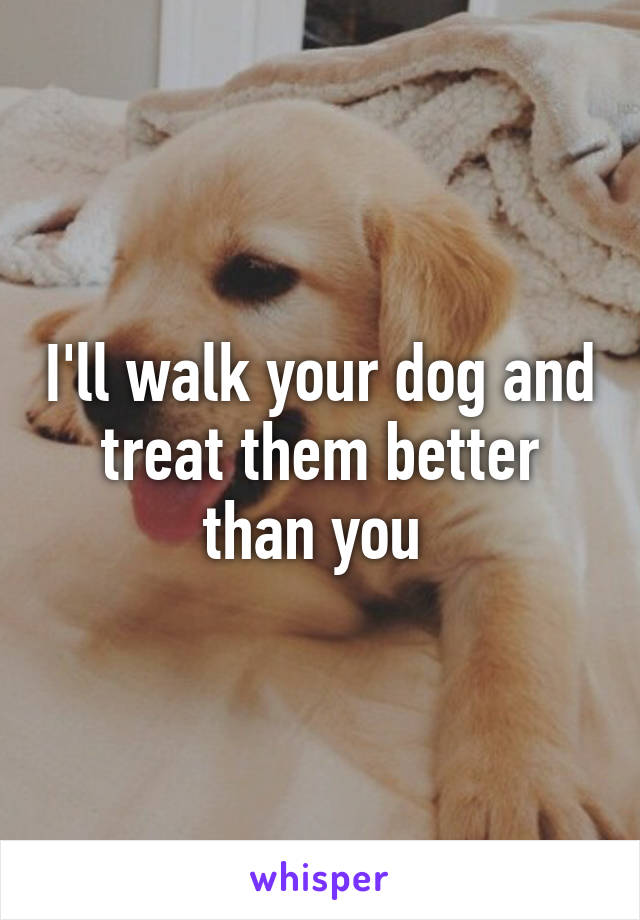 I'll walk your dog and treat them better than you 