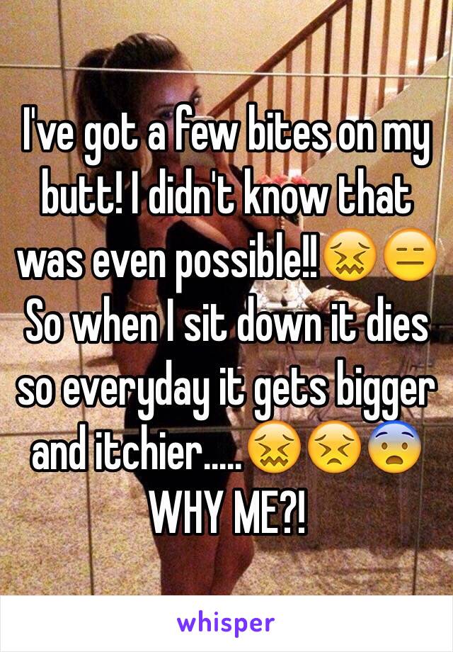 I've got a few bites on my butt! I didn't know that was even possible!!😖😑 So when I sit down it dies so everyday it gets bigger and itchier.....😖😣😨 WHY ME?! 