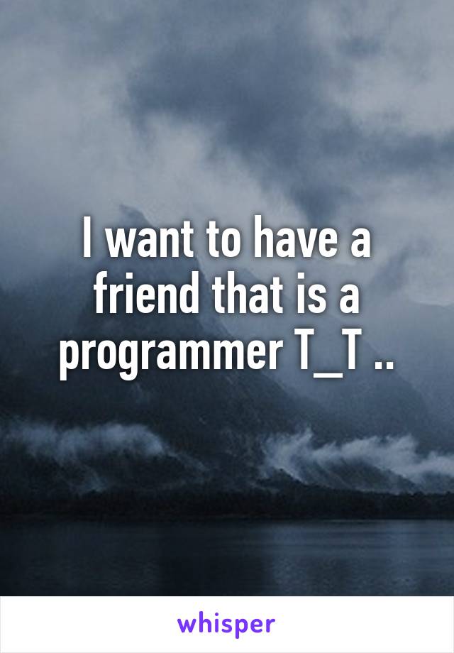 I want to have a friend that is a programmer T_T ..
