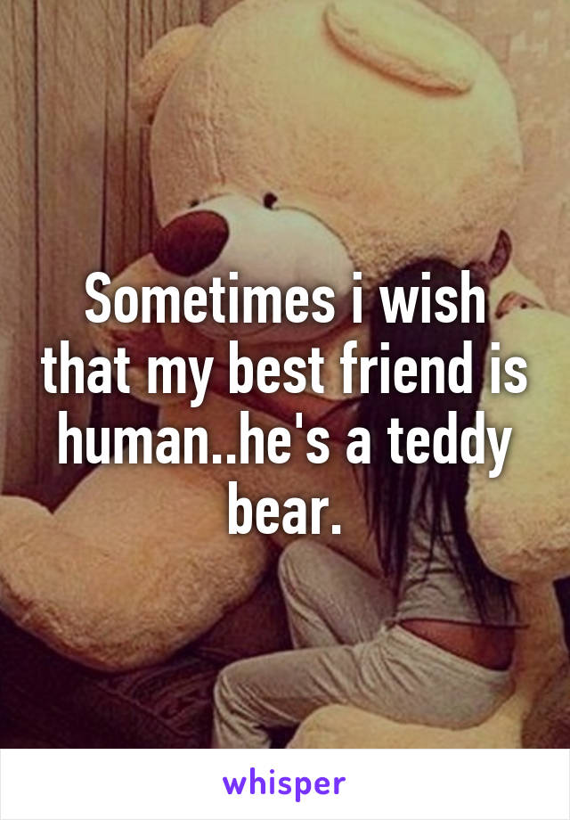 Sometimes i wish that my best friend is human..he's a teddy bear.