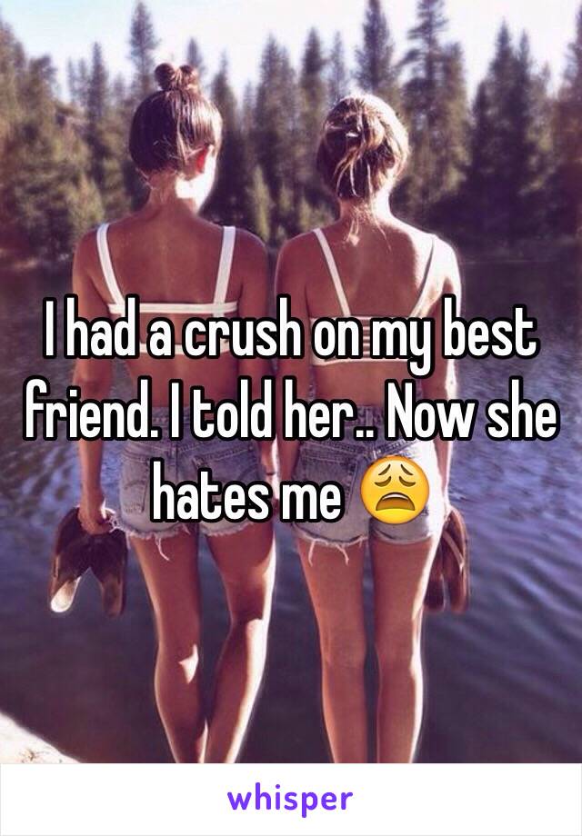 I had a crush on my best friend. I told her.. Now she hates me 😩