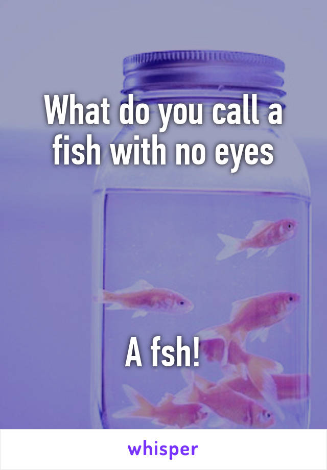 What do you call a fish with no eyes




A fsh!