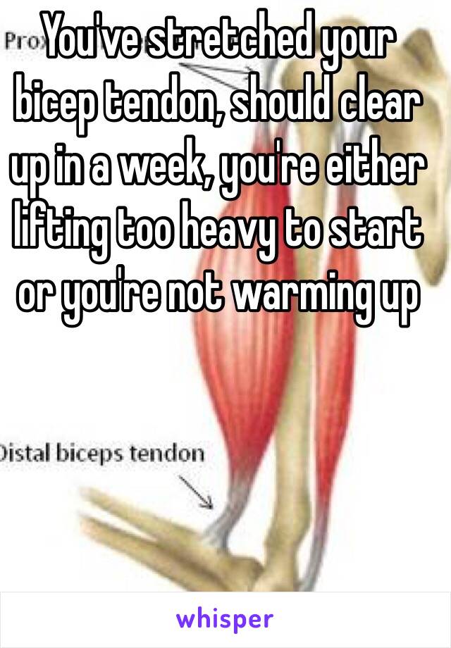 You've stretched your bicep tendon, should clear up in a week, you're either lifting too heavy to start or you're not warming up