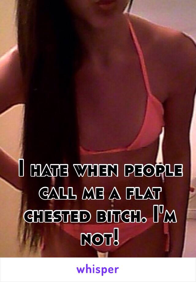 I hate when people call me a flat chested bitch. I'm not!