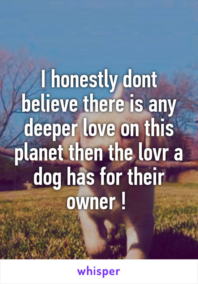 I honestly dont believe there is any deeper love on this planet then the lovr a dog has for their owner ! 