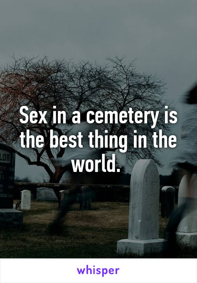 Sex in a cemetery is the best thing in the world. 