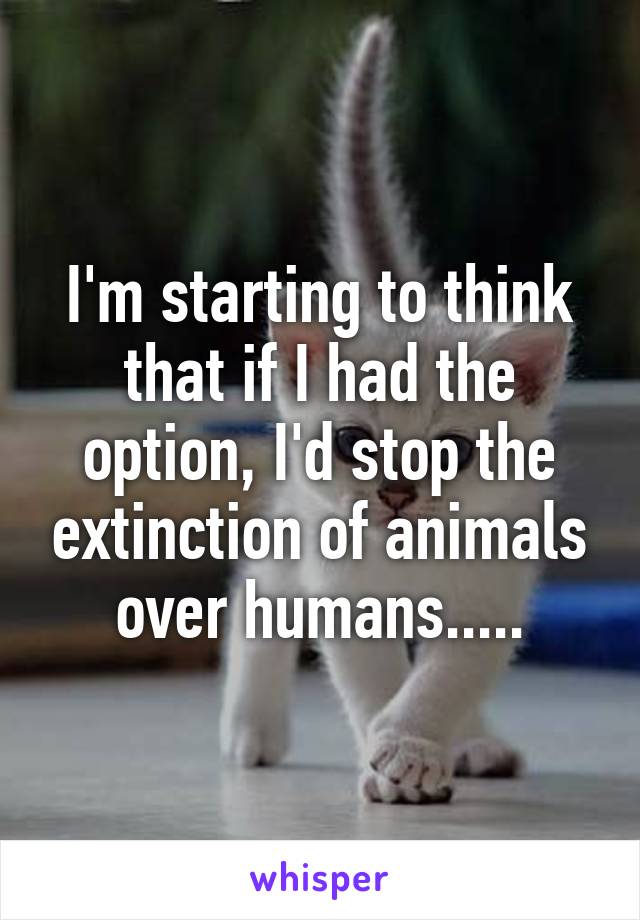 I'm starting to think that if I had the option, I'd stop the extinction of animals over humans.....