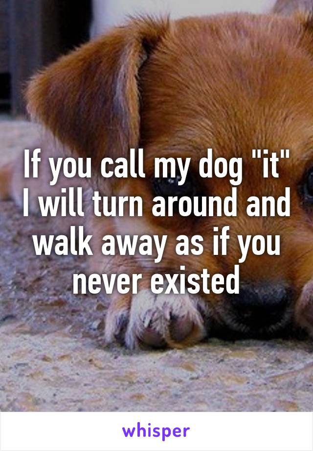 If you call my dog "it" I will turn around and walk away as if you never existed