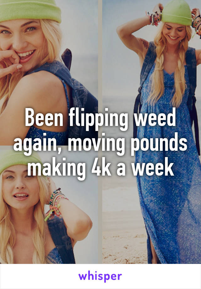 Been flipping weed again, moving pounds making 4k a week