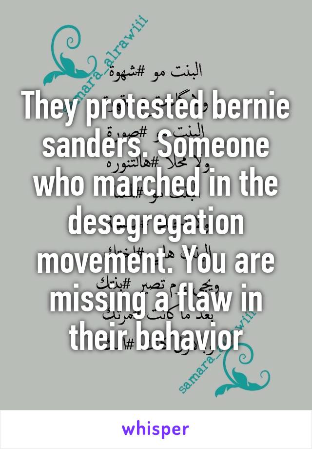 They protested bernie sanders. Someone who marched in the desegregation movement. You are missing a flaw in their behavior