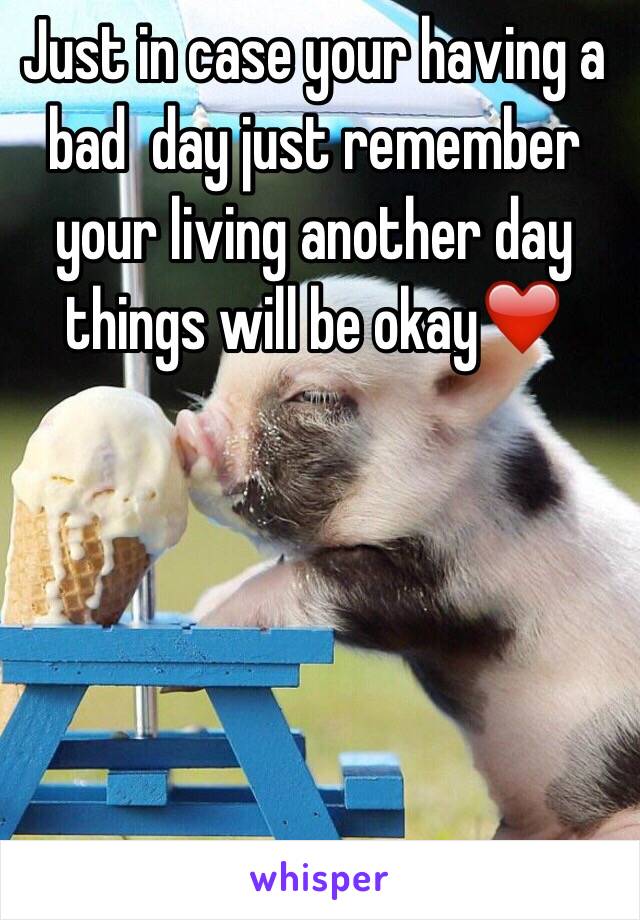 Just in case your having a bad  day just remember your living another day things will be okay❤️