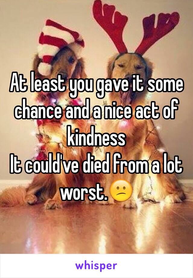 At least you gave it some chance and a nice act of kindness
It could've died from a lot worst.😕