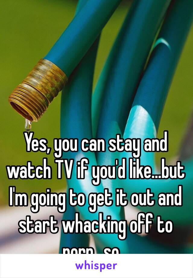 Yes, you can stay and watch TV if you'd like...but I'm going to get it out and start whacking off to porn...so...