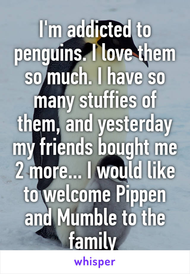 I'm addicted to penguins. I love them so much. I have so many stuffies of them, and yesterday my friends bought me 2 more... I would like to welcome Pippen and Mumble to the family 