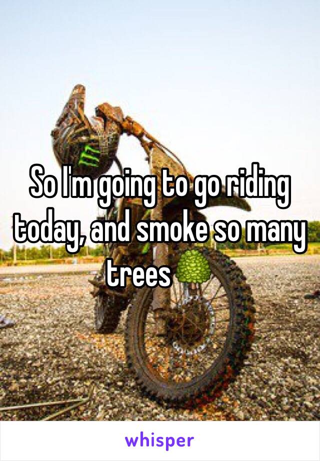 So I'm going to go riding today, and smoke so many trees🌳