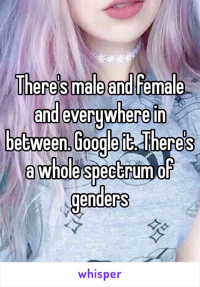 There's male and female and everywhere in between. Google it. There's a whole spectrum of genders