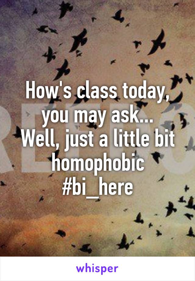 How's class today, you may ask...
Well, just a little bit homophobic
#bi_here