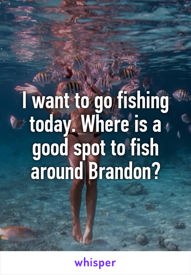 I want to go fishing today. Where is a good spot to fish around Brandon?