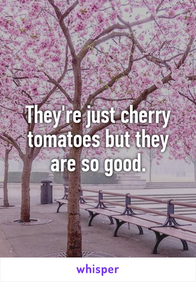 They're just cherry tomatoes but they are so good.