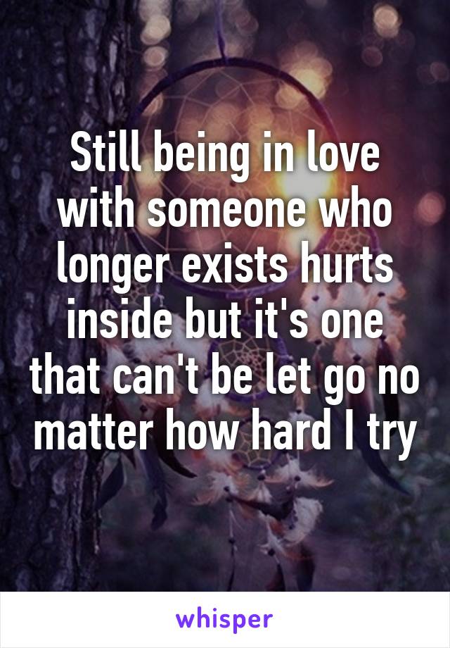 Still being in love with someone who longer exists hurts inside but it's one that can't be let go no matter how hard I try 