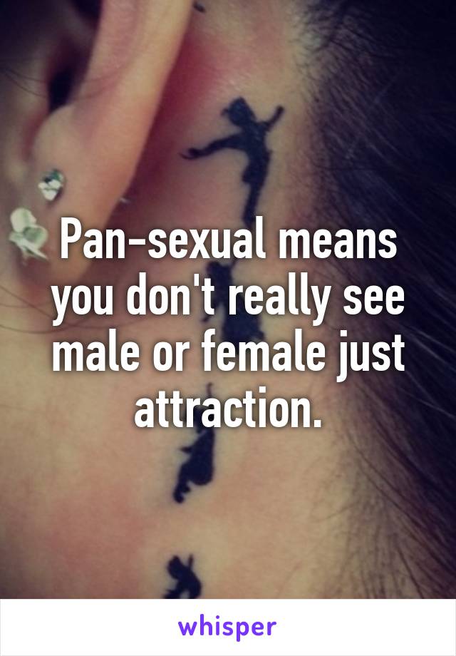 Pan-sexual means you don't really see male or female just attraction.