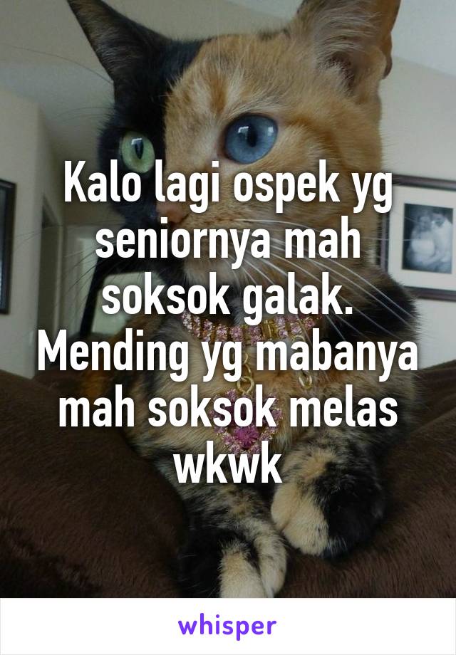 Kalo lagi ospek yg seniornya mah soksok galak. Mending yg mabanya mah soksok melas wkwk