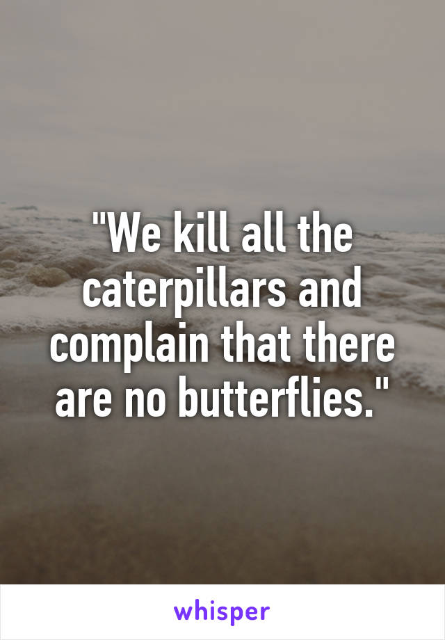 "We kill all the caterpillars and complain that there are no butterflies."