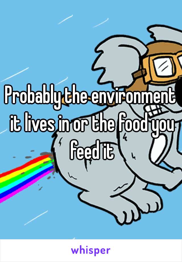 Probably the environment it lives in or the food you feed it