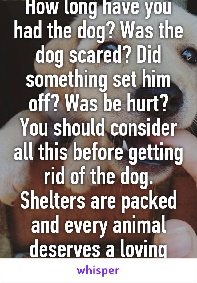 How long have you had the dog? Was the dog scared? Did something set him off? Was be hurt? You should consider all this before getting rid of the dog. Shelters are packed and every animal deserves a loving home. 