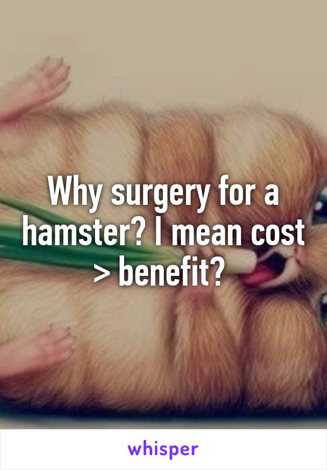 Why surgery for a hamster? I mean cost > benefit? 