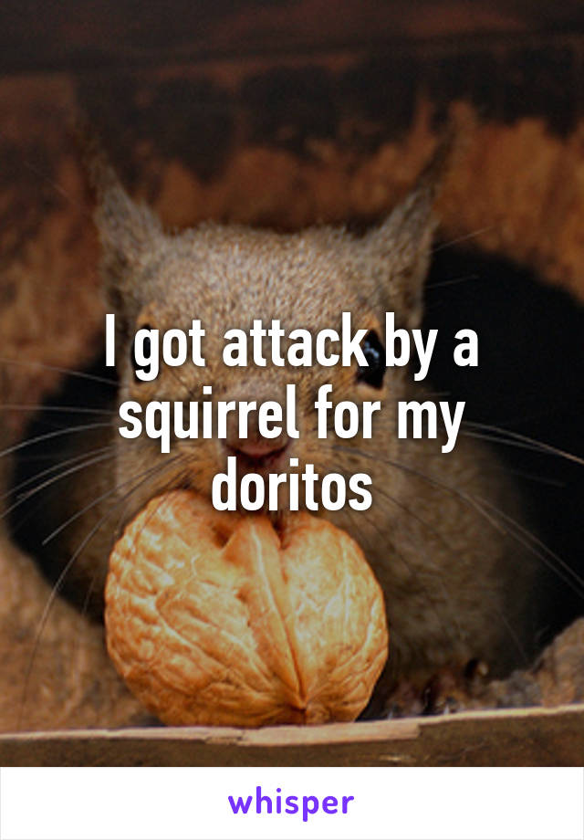 I got attack by a squirrel for my doritos