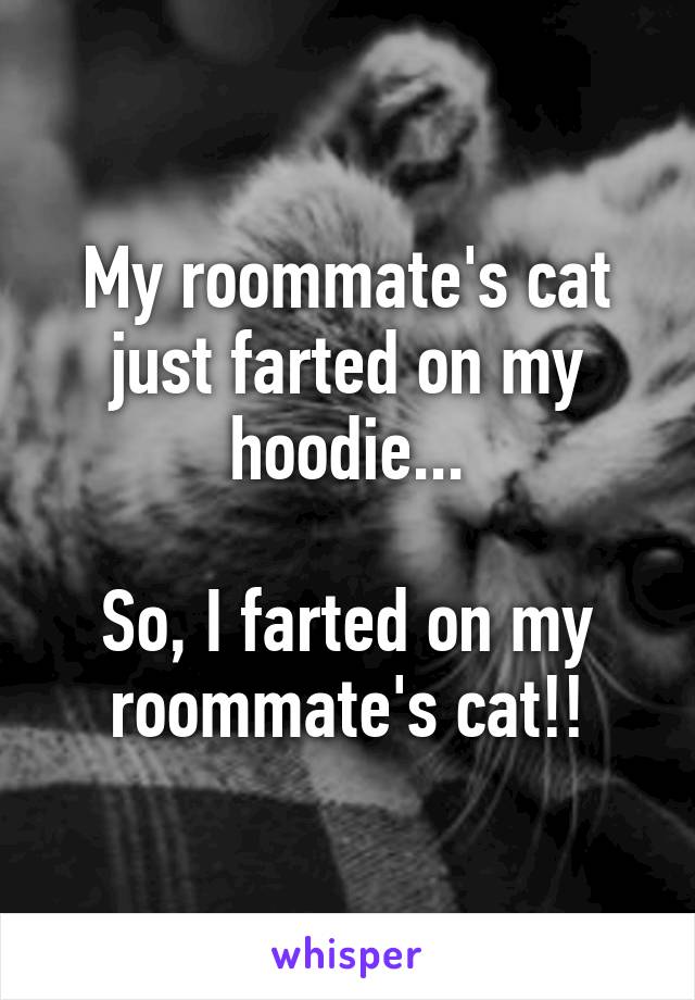 My roommate's cat just farted on my hoodie...

So, I farted on my roommate's cat!!