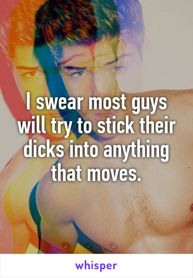 I swear most guys will try to stick their dicks into anything that moves.