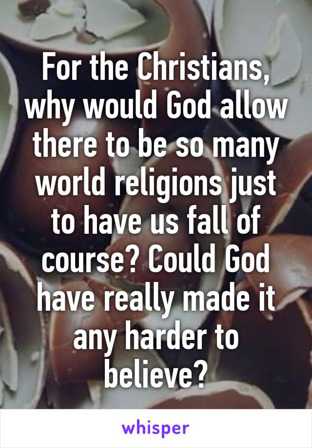 For the Christians, why would God allow there to be so many world religions just to have us fall of course? Could God have really made it any harder to believe?